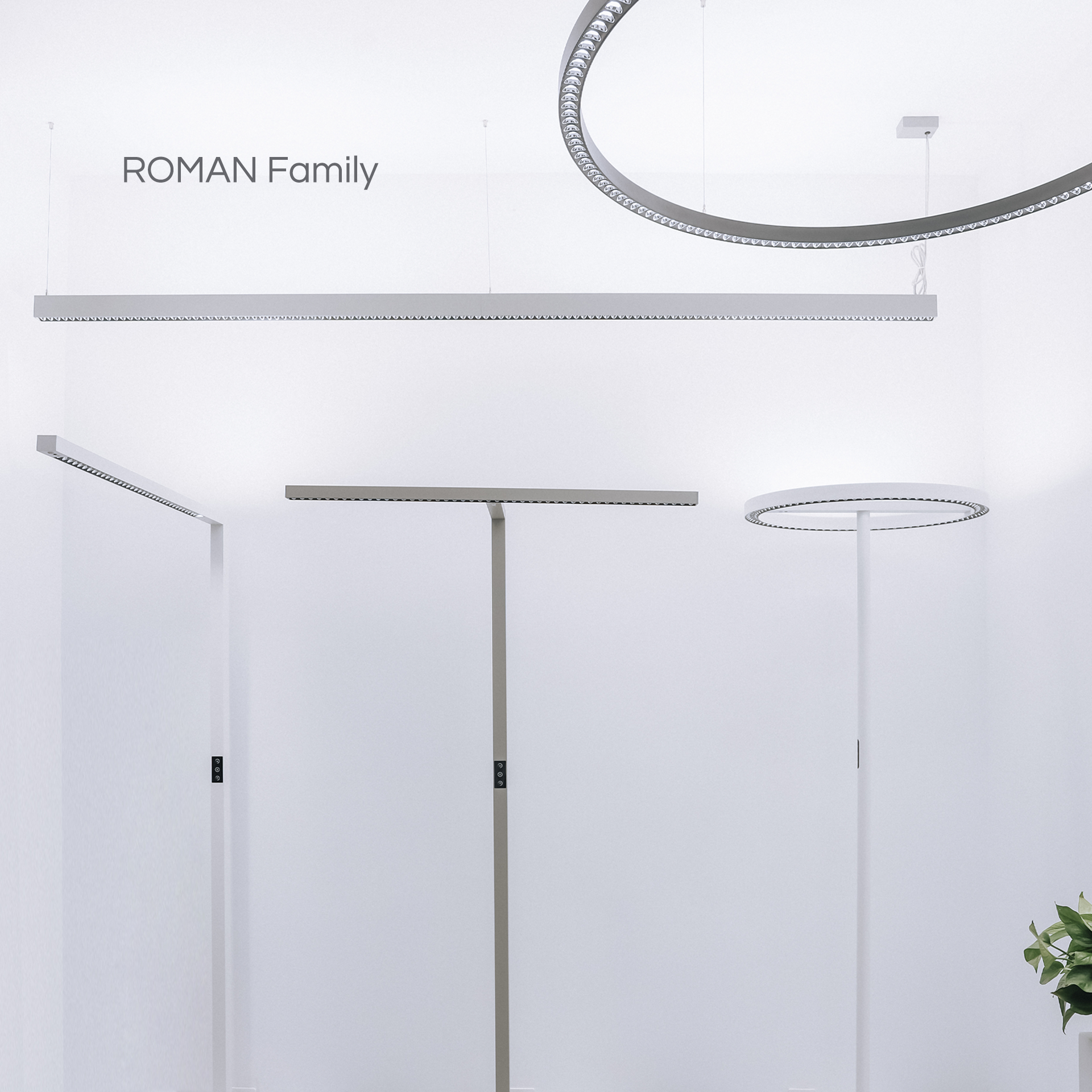 ROMAN-F2 ROMAN-F2